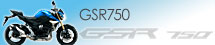 GSR 750