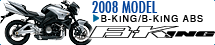 08 B-KING/B-KING ABS