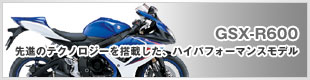 GSX-R600