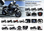 GLADIUS / GLADIUS ABS,V-STROM650 / V-STROM650 ABS,BOULEVARD M109R