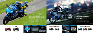 GSX-R1000 ABS/GSX-R750/GSX-R600