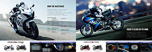 GSX-R1000 ABS/GSX-R750